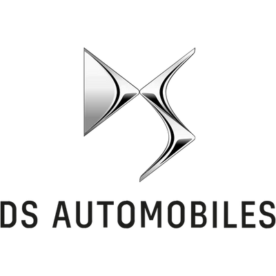 Logo DS