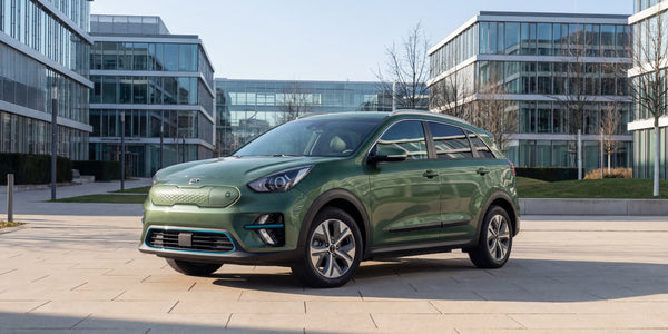 Kia E-Niro charging cable (2020-2021)